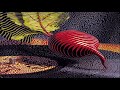 Mans Melody Riddim Instrumental By McSounds