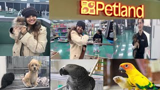 EXPLORING PETLAND! CRAZIEST BEST PET SHOP IN OHIO | 😱Inshirah ko aaj puppy🐶 kaat he leta😢