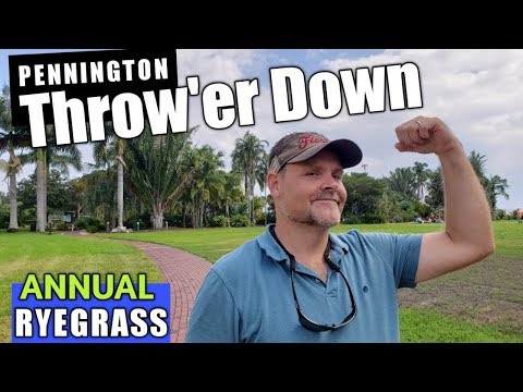 image-Does rye grass have flowers?