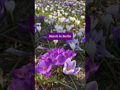 Goodbye winter👋 and HELLO SPRING🥰💐☀️ #visitberlin #spring #berlin
