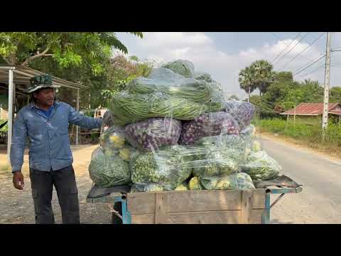 Level Up Your Family Dinner with This Easy Hot Pot Recipe!
