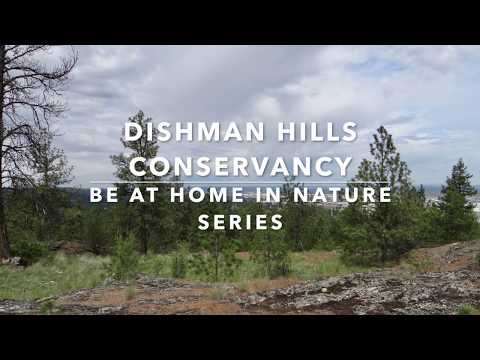 Nature's Recycling: The Decomposers