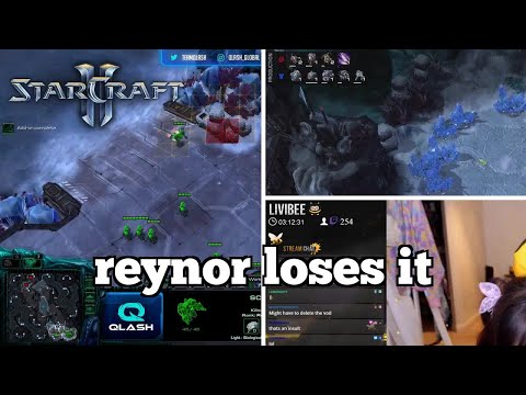 Daily Starcraft Highlights: reynor loses it