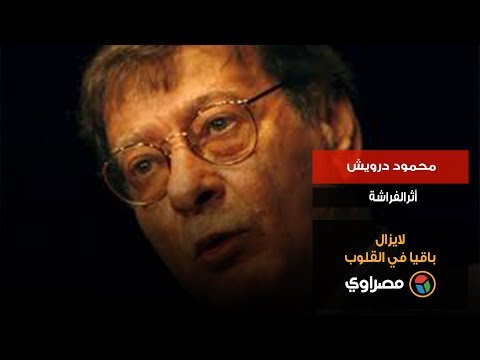 محمود درويش.. أثرالفراشة لايزال باقيا في القلوب