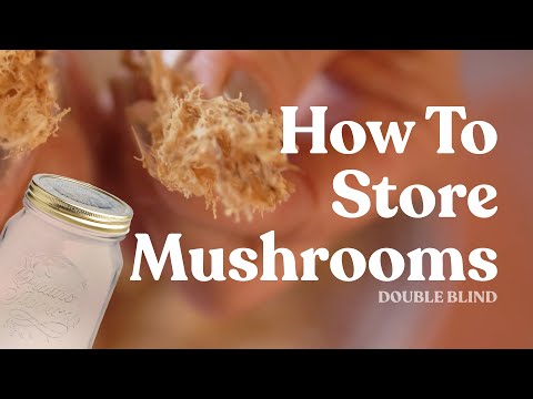 How to Store Mushrooms | DoubleBlind