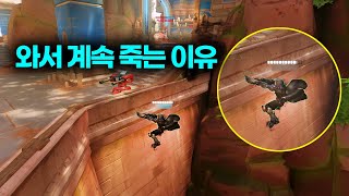 왜 죽었는지 토론 중 (쇼츠 모음집 Vol.09)
