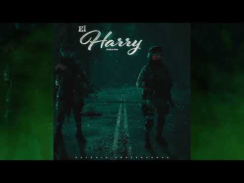 EL HARRY 🇲🇽(SEDENA/CFE) - Doble ONE