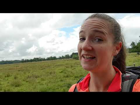 Pieterpad Dag 4 Rolde - Schoonloo