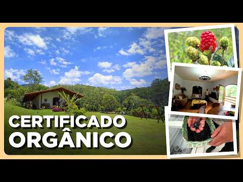 SÍTIO COMPLETO COM CERTIFICAÇÃO ORGÂNICA Á VENDA NO ALTO DA MANTIQUEIRA, DELFIM MOREIRA, MG