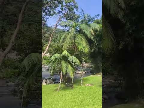 BMW GS 850 adventure, Rota biker café em Rio dos cedros