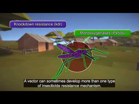 Resistance101 - Multiple resistance