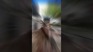 Download lagu REST AREA KM 149 | APAL FEBRIO | ARTIST | MUSISI BANDUNG | TERAS KOPI  SHORTS FIRDHA KARUNIA #shorts mp3