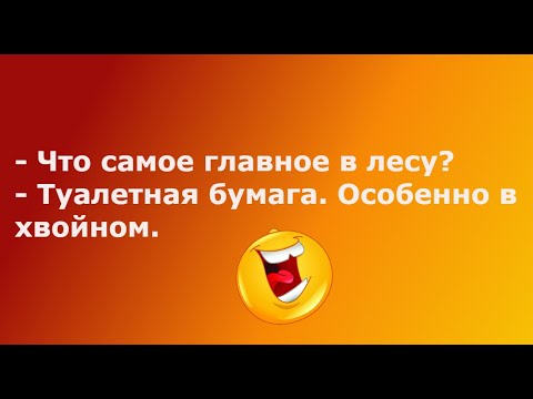 Вчера шел по снежному городу с кирпичом... Выпуск 58