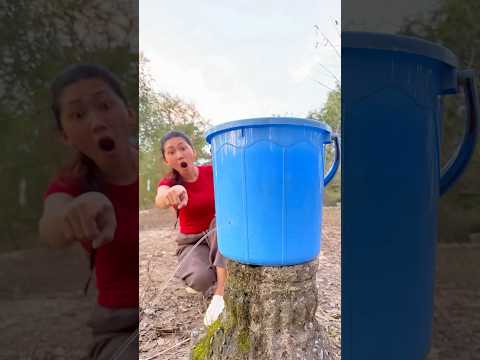 The Show AMAZING Smart idea and Useful #bushcraft #camping #outdoors #useful #ideas