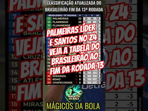 Verdão líder e Peixe no Z4! #futebol #palmeiras #saopaulo #flamengo #corinthians #santos #inter #psg
