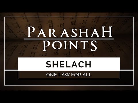 Parashah Points: Shelach - One Law For All - 119 Ministries thumbnail