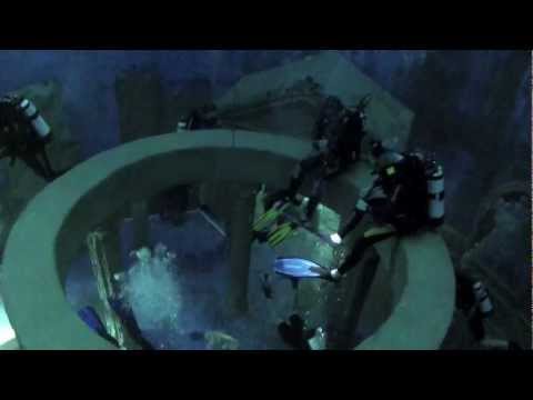 Dive4Life Tauchvideo