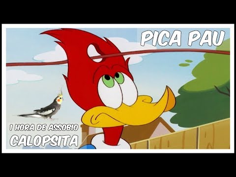 ASSOBIO CALOPSITA - PICA PAU - COCKATIEL WHISTLE