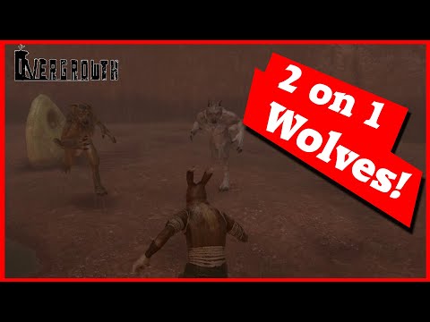 Overgrowth Story - How to beat 2 Wolves - Rock Arena - Expert