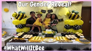 OUR GENDER REVEAL + LETS TALK! | 2018