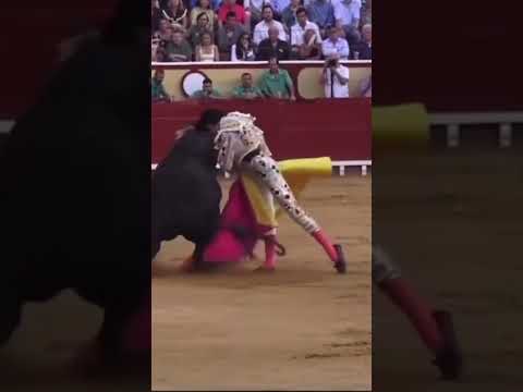 Roca Rey, figura de los pies a la cabeza