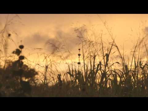 Get away to Barbados