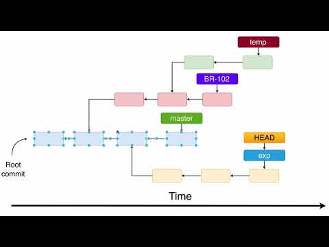 Git branches and Git HEAD 59 Why do we need branches