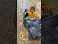 Kali Gaddi K Driver Shorts Song Viral Rccars Rain Anaya Amayra