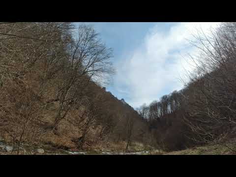 Valea Vadului - Ocolisel