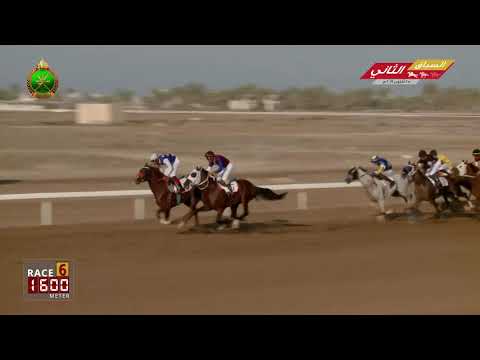 الشوط السادس - السباق الثاني - الرحبة 25/10/2019 Race 6-2nd meeting