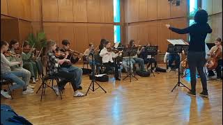 H. Zimmer: Pirates of the Caribbean suite; Medallion calls