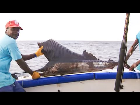 , title : 'Fishing adventure in Kenya | Documentary'