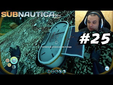 SUBNAUTICA #25 - L'HO TROVATO! - GAMEPLAY ITA