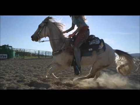 Nelu Veres - Hai iubire linga mine