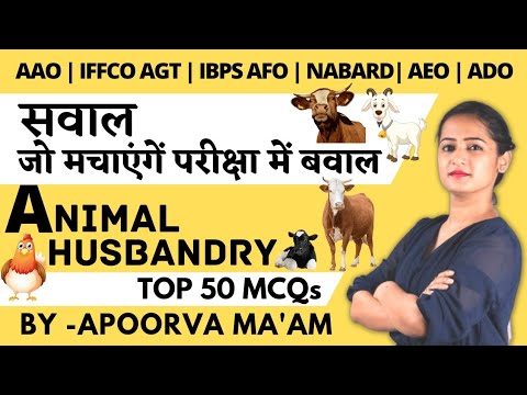 Dr. Sara May, Allergy and Immunology