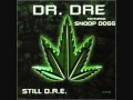Dr Dre feat Snoop Dogg - Still Dre 