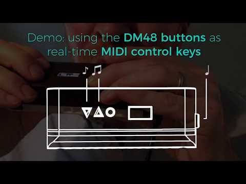 Demo of Lekholm DM48 & SWAM Flutes: remote control with the buttons & much more