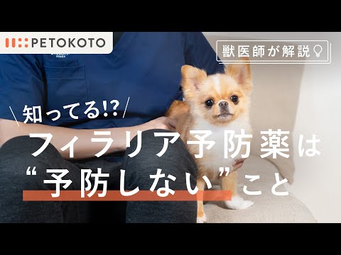 バベシア症:犬マラリア – 症状と治療