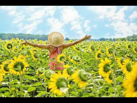 Ludvigsson ft.Jobe - Scars