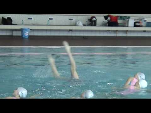 Vystoupení Synchro Pce - 7.3.2009 - tým - starší