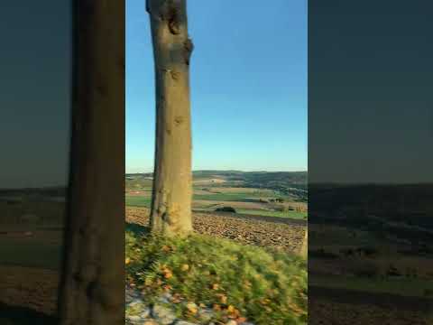 Serpentinenfahrt im Weserbergland - BMW M4 - Audi RS3