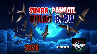 Download lagu Suara Panggil Bulan Biru mp3
