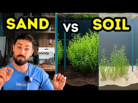 Which Is BEST For Your Aquarium, Sand Or Aquasoil?