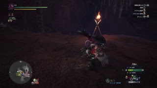 頑張ってモンハンする