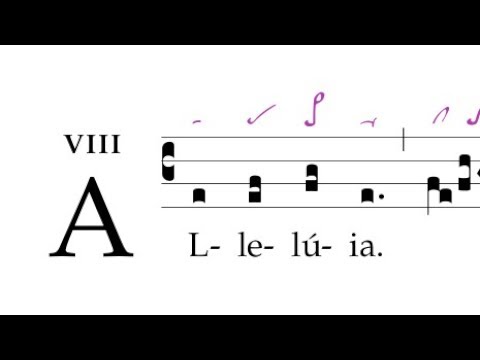 Alleluia: Crastina die