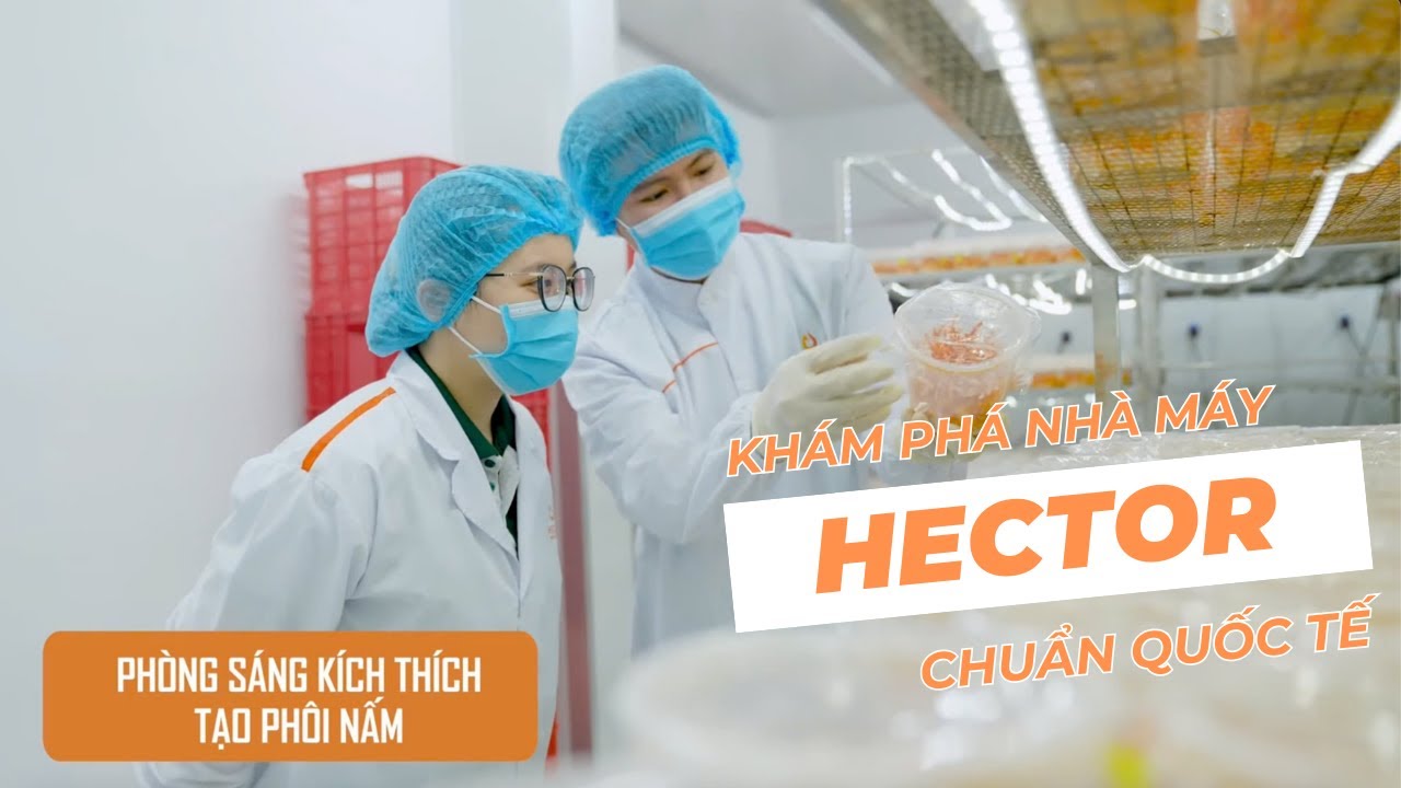 Câu chuyện Lavite