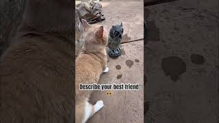 Download lagu Choose One Emoji Only 👀🤔😻🐾🐈 mp3