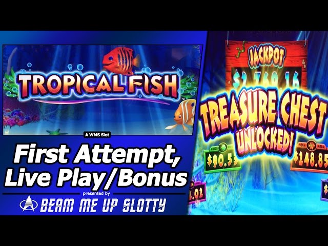 Tropical Fish Slot - Live Play with Free Spins and Re-Spin Feature in new WMS title