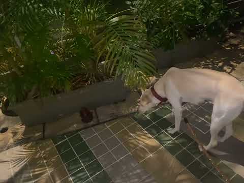 Exploring new objects 