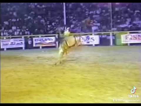 Rovilson Augusto x Pit Bull - Rodeio de Miguelópolis 2000